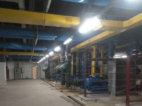 �͑�(h��)����6